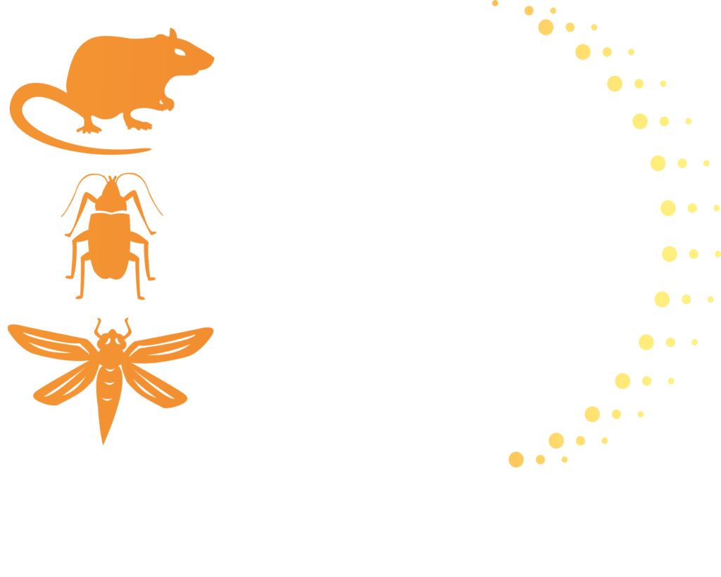 Logo ILB services Dératisation lutte contre les guêpes et frelons à Bressuire