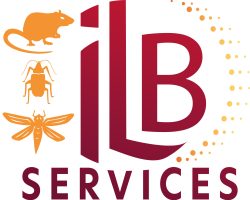 Logo ILB services Dératisation lutte contre les guêpes et frelons à Bressuire