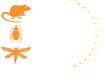 Logo ILB services Dératisation lutte contre les guêpes et frelons à Bressuire